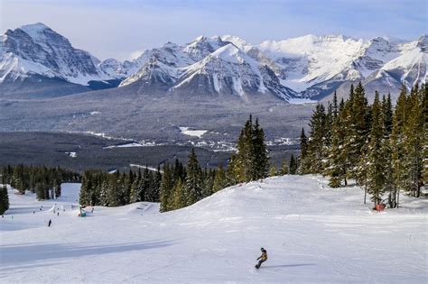 lake louise ski parking|6 Tips & info That Will Get You Parking At Lake。